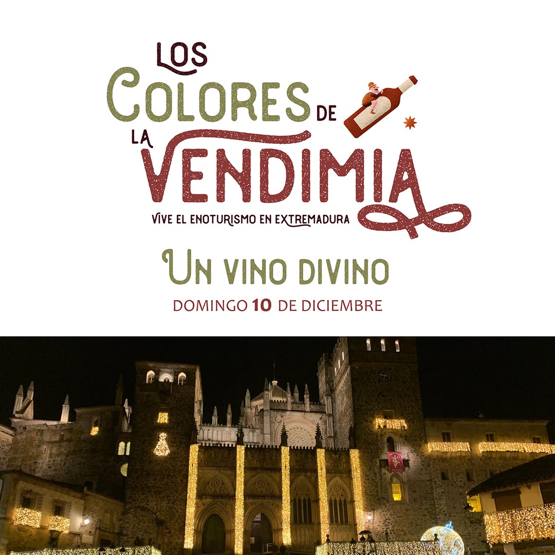Los Colores de la Vendimia - Un vino divino