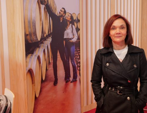 La ruta del Vino y el Cava en Tierra de Barros