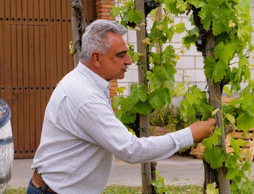 Tradición e innovación se fusionan de la mano de Juan Leandro Romero, un artesano del vino