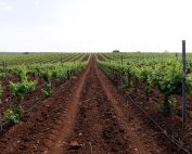 Blogueros en la ruta