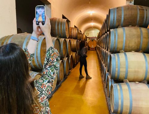 Turoperadores de Portugal y España conocerán la Ruta del Vino y Cava Ribera del Guadiana